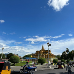 [캄보디아] 2023년 최신 프놈펜 왕궁 Royal palace 정보 (입장료/입장 시간 등 주요 정보 포함) #캄풍기